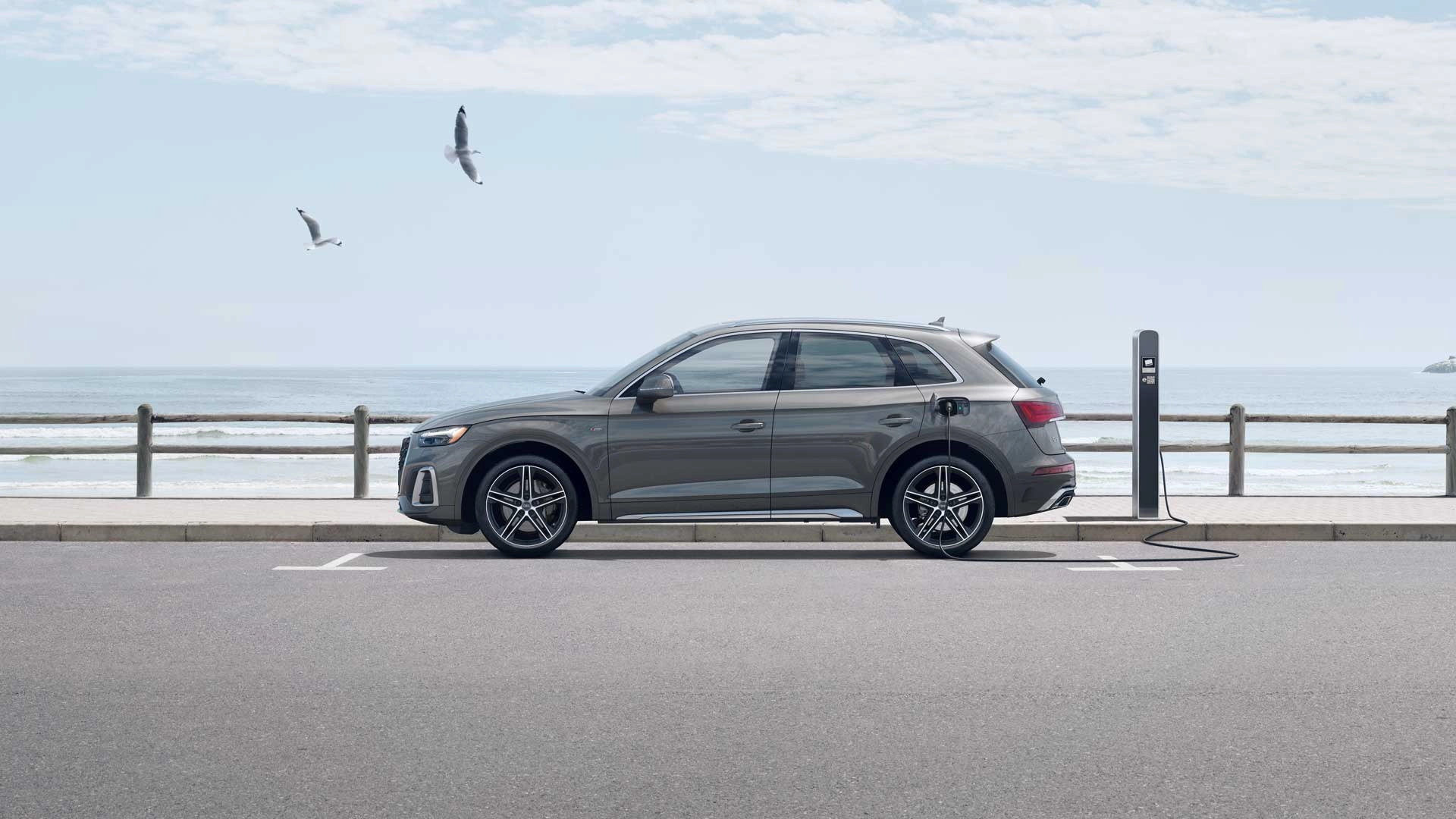 Audi Q5 Sideview Compared to SQ5 Sideview Audi Q5 Sideview Compared to SQ5 Sideview
