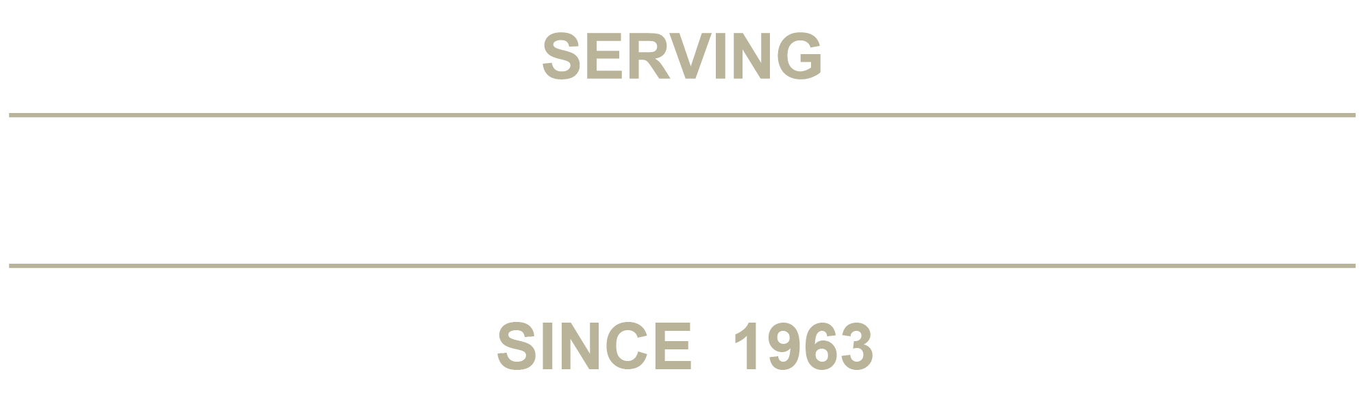 Village Automotive Group text Serving The Greater Boston Area Since 1963
