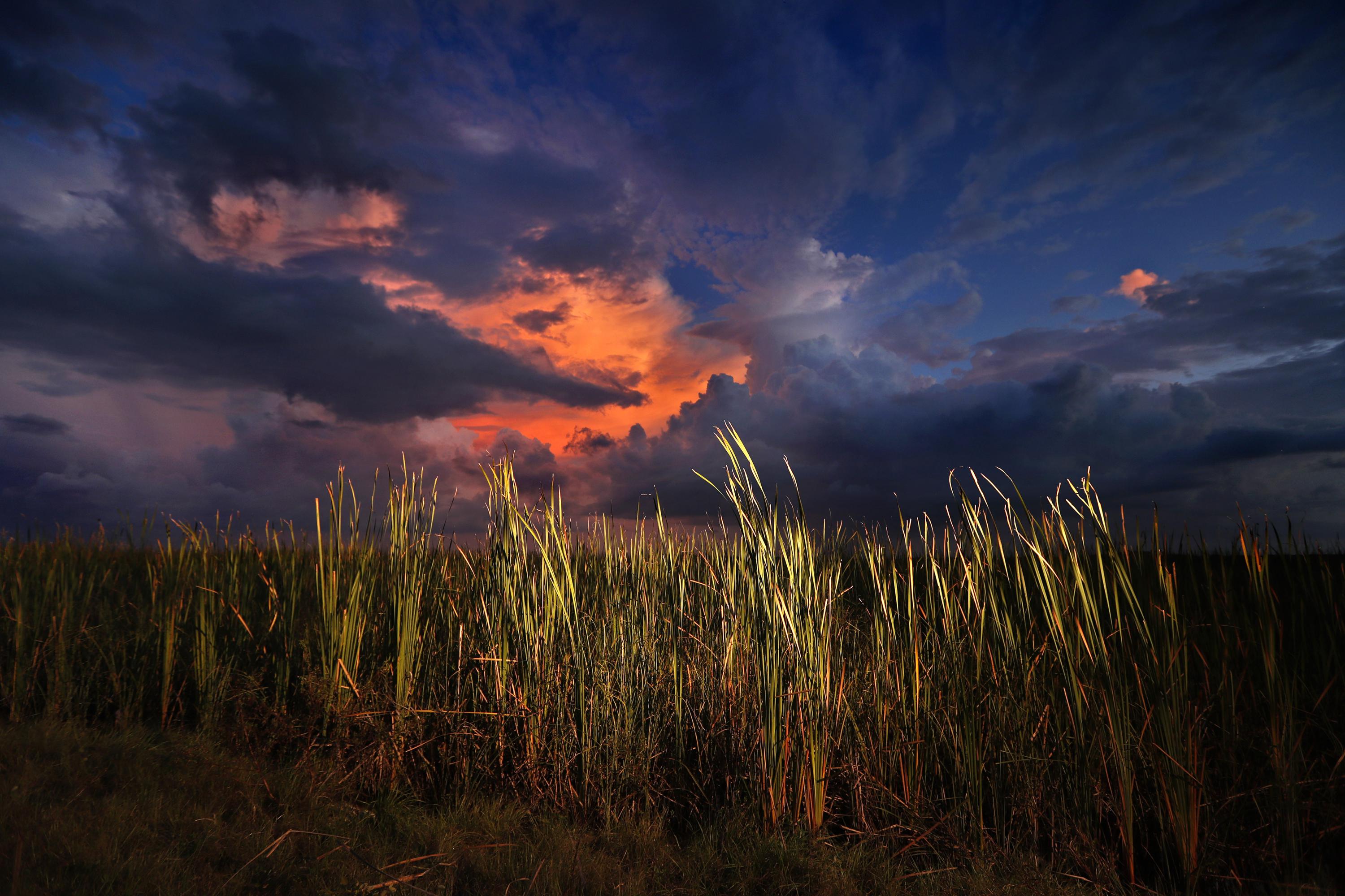 Biden's plan would boost conservation of US lands, waters 1 Biden's plan would boost conservation of US lands, waters
