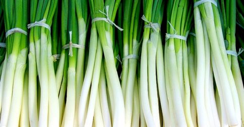 scallion