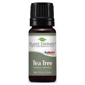 Plant Therapy Tea Tree Essential Oil