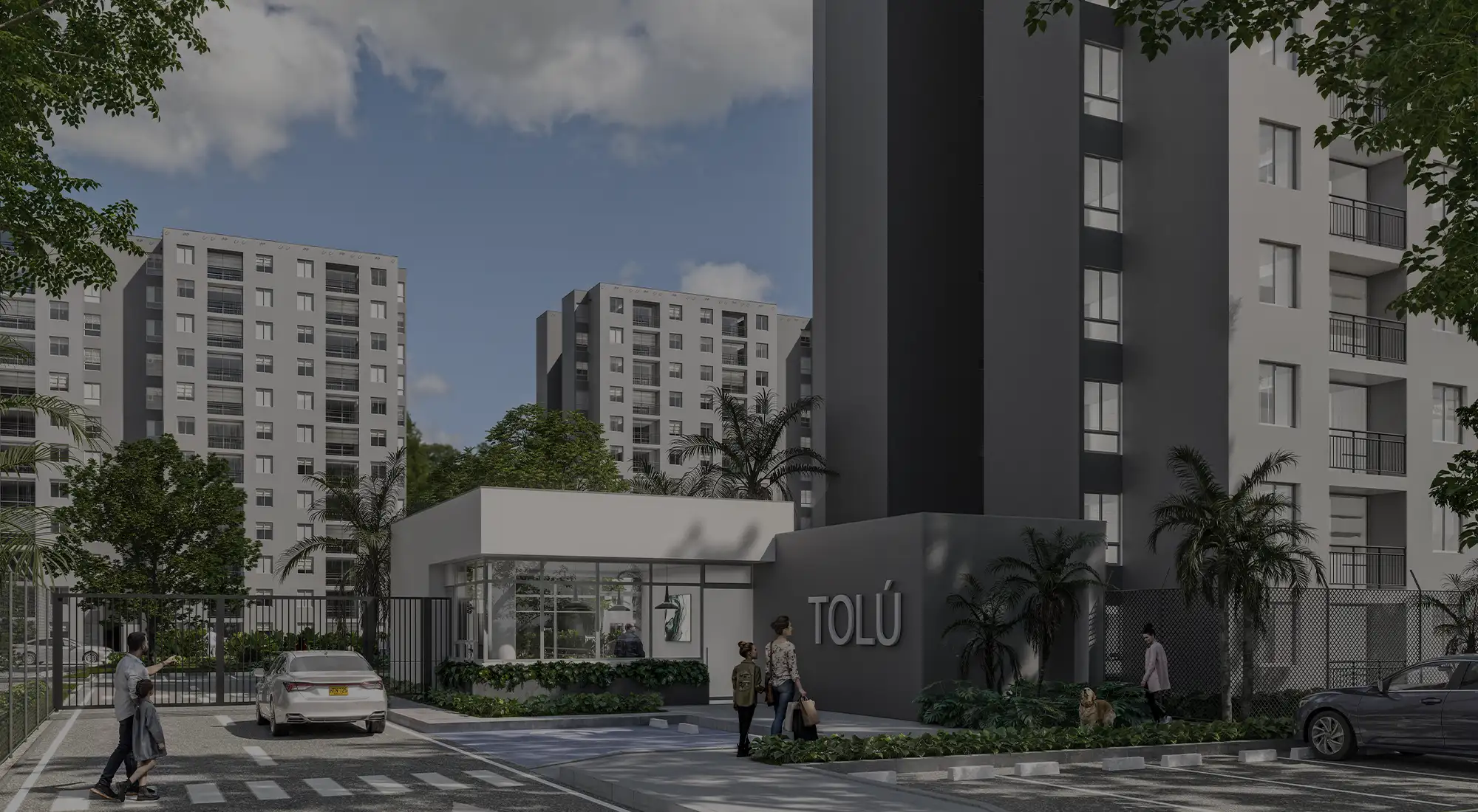 fondo-banner-home-tolu