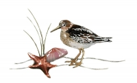 Bovano - W320A - Sandpiper and Starfish