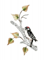 Bovano - W4152 - Downy Woodpecker on Birch Branch