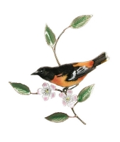 Bovano - W4121 - Baltimore Oriole