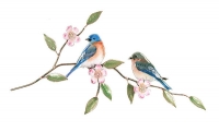 Bovano - W4134 - Bluebirds on a Prairie Rose Branch