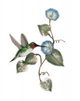 Bovano - W1402 - Ruby-Throated Hummingbird with Morning Glory Flowers
