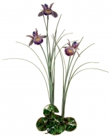 Bovano - F99P - Triple Purple Iris with Patina Grass