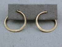 Peter James Earrings -  202L GF