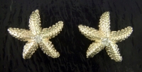 Steven Douglas - Sea Star Earrings SLE012D