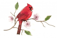 Bovano - W4450 - Cardinal on Cherry Blossom