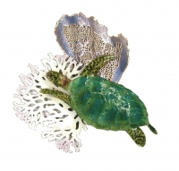 Bovano - W625 - Sea Turtle with Blue Sea Fan and Coral