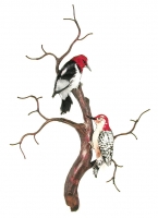 Bovano - W8089 - Two Woodpeckers in a Tree