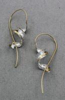 Peter James Earrings - 2058CO