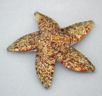 Gibbons - Starfish - Amber and White