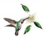 Bovano - W443 - Hummingbird with Wood Lily (Right Facing)