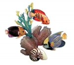 Bovano - W1622 - Reef Scene with Emperor Angel, Flame Angel and Rock Beauty