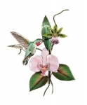 Bovano - W4707 - Hummingbird and Orchids