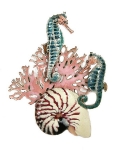 Bovano - W182 - Two Seahorses with Coral and Nautilus Shell