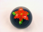 Mayauel Ward - Paperweight - Red Flower on Black