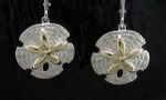 Steven Douglas - Sanddollar Earrings SGE309