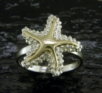 Steven Douglas - Sea Star Ring SGR335