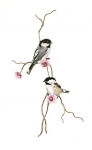 Bovano - W4434 - Chickadee Pair on a Pink Flowering Branch