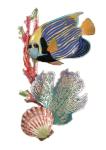 Bovano - W1612 - Emperor Angelfish, Sea fan and Scallop