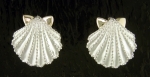 Steven Douglas - Scallop Shell Earrings SGE311