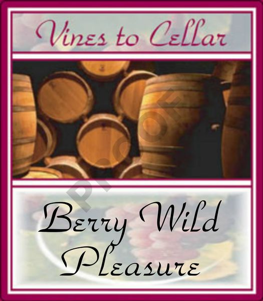 2020 Berry Wild Pleasures (Wild Berry Shiraz)