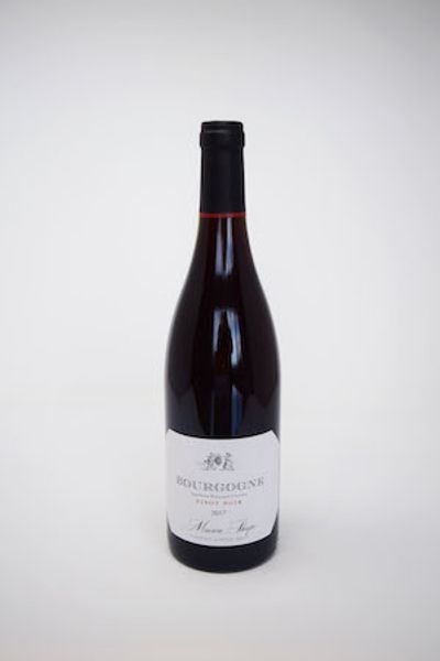 2020 Maison Shaps Bourgogne Pinot Noir