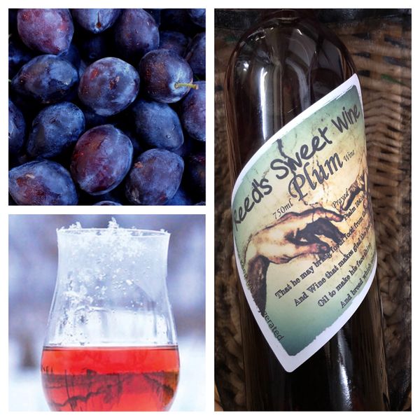 2018 Stanley Plum Wine from Reeds Sweet Wine LLC