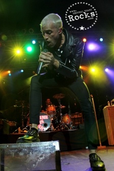 NeonTrees161.jpg