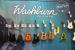 Washburn Guitars