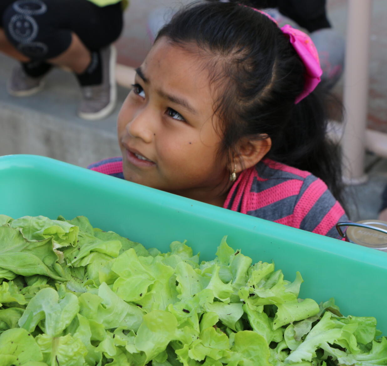 Reinventing Healthy Eating with Salad Bars to Schools