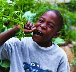 It’s Farm to School Month!