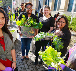 School-based Farmers Markets