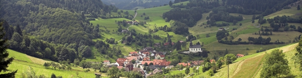 Frankfurt | Magic of the Black Forest