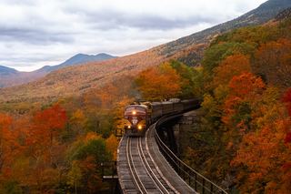 New England College