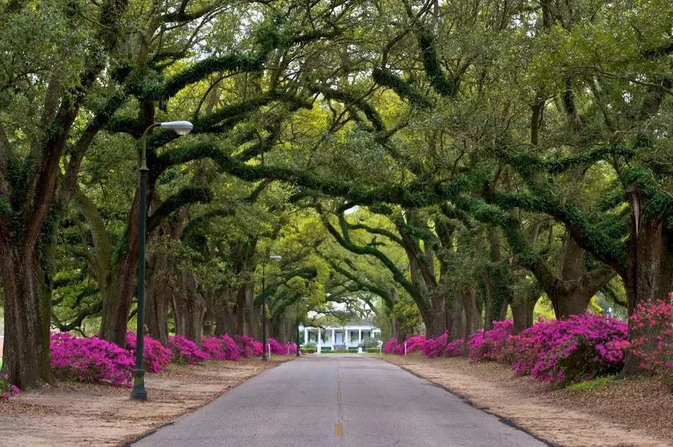 Spring Hill College Campus, Mobile, AL