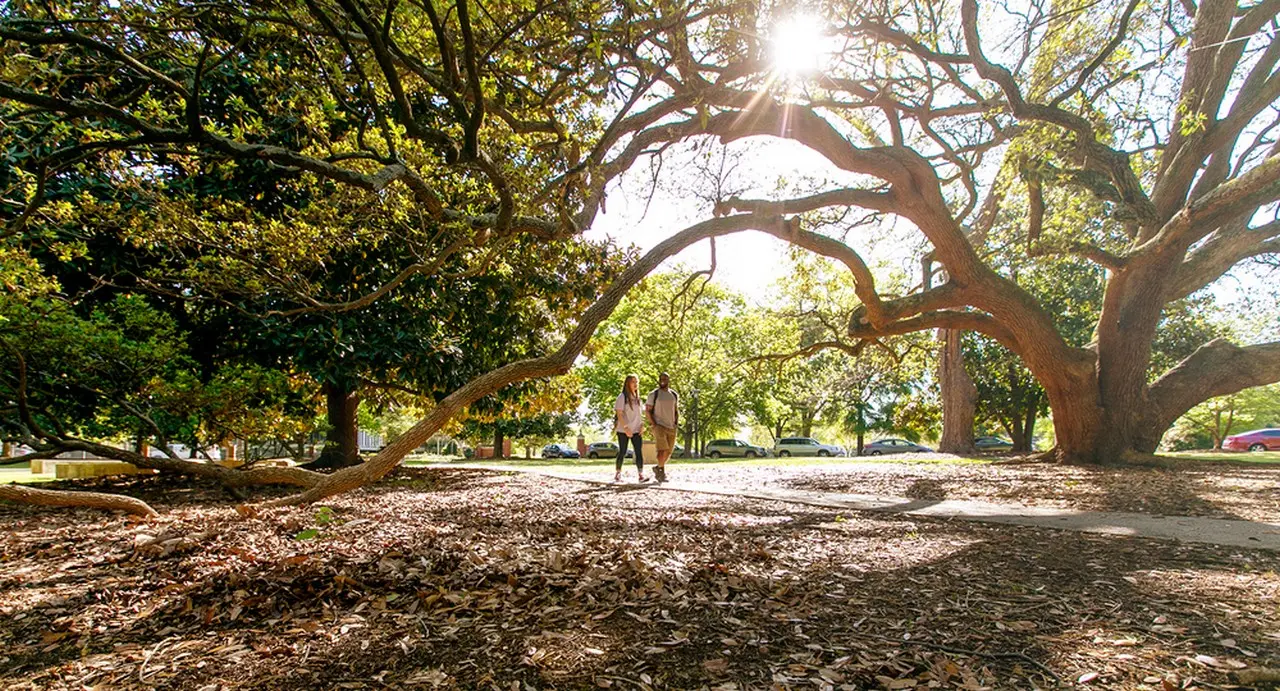 Winthrop University Campus, Rock Hill, SC