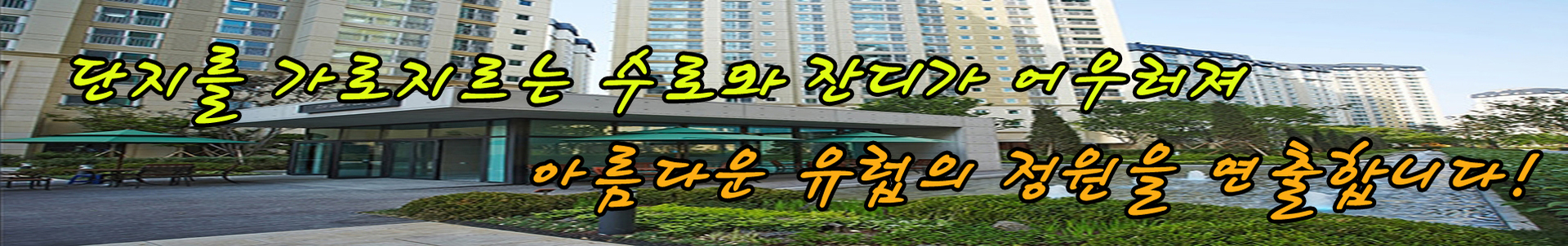 교통 프리미엄 대표사진