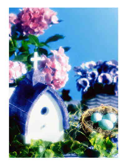 Birdhouse-and-Eggs