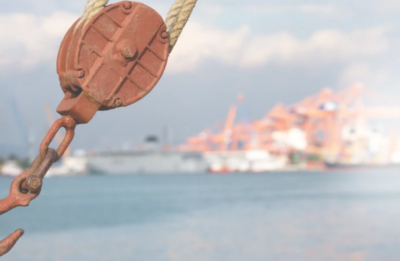 CVI Website Banner Image 1 scaled