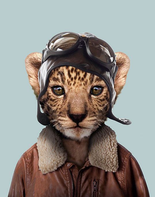 Leopard (Cub)