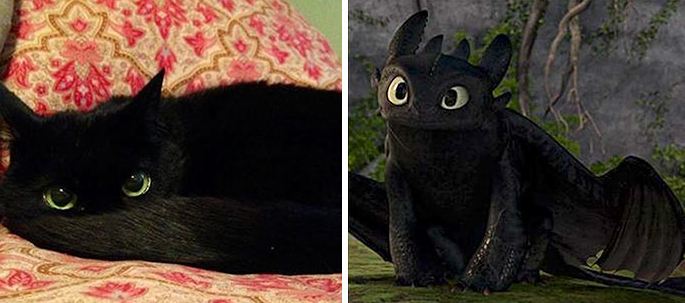 toothless-how-to-train-your-dragon
