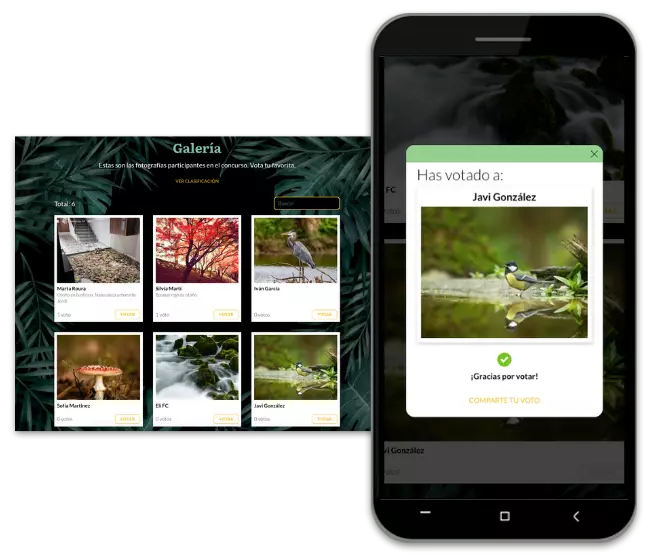 Concurso de fotografía con votos