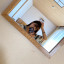 miyuu_
