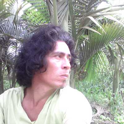 Juk / Musician