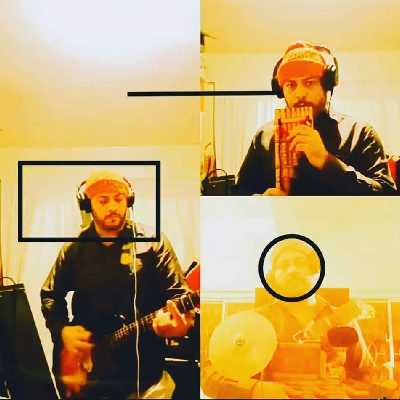 Coller / Musician